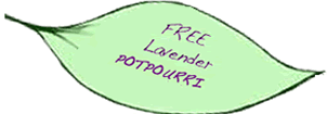 free lavender